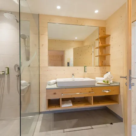 リティス アルペン ダッハシュタイン アパートホテル