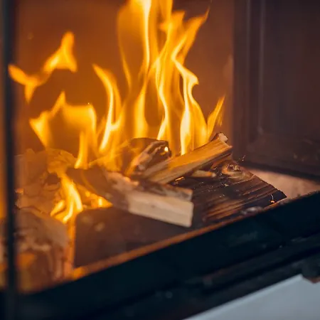 リティス アルペン ダッハシュタイン アパートホテル