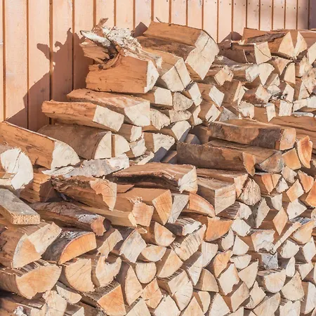 リティス アルペン ダッハシュタイン アパートホテル ラムサウ・アム・ダッハシュタイン