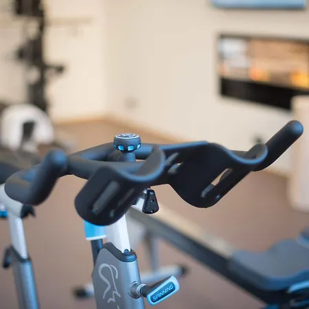 アパートホテル リティス アルペン ダッハシュタイン ラムサウ・アム・ダッハシュタイン