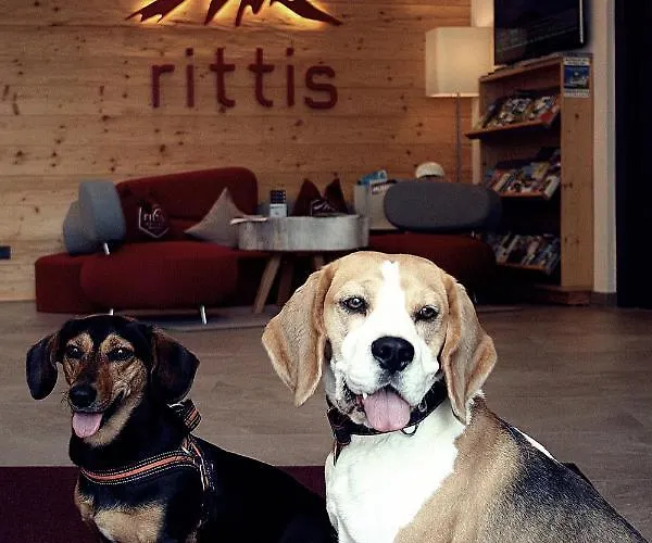 Rittis Alpin Dachstein Hotel apartamentowy