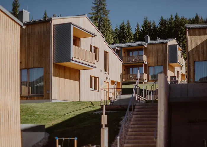 リティス アルペン ダッハシュタイン ラムサウ・アム・ダッハシュタイン