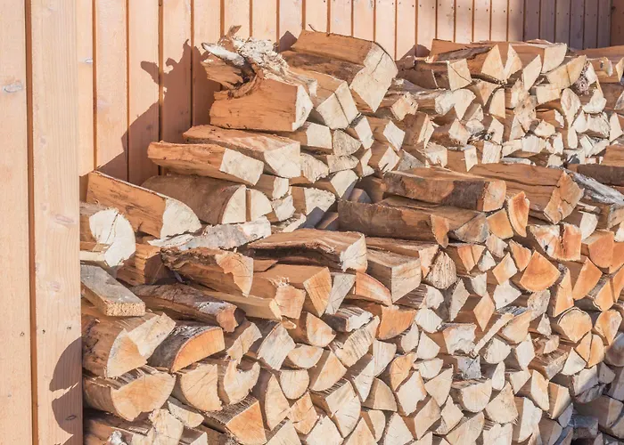 Rittis Alpin Dachstein Hotel apartamentowy Ramsau am Dachstein