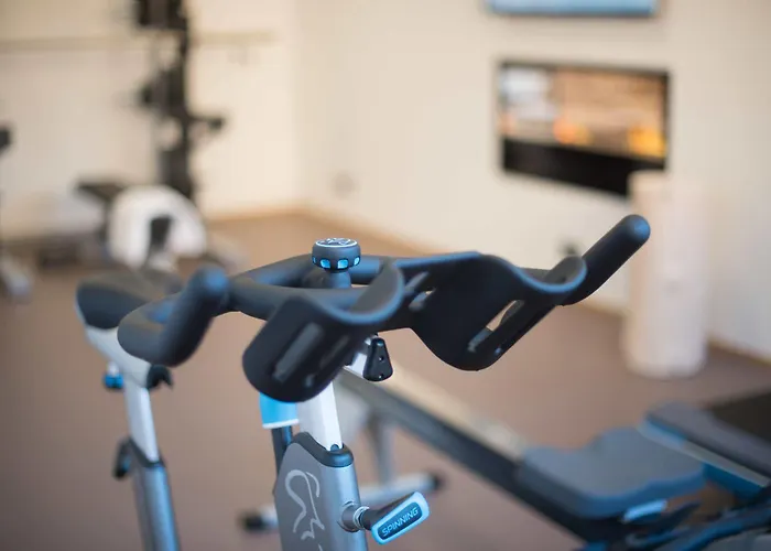 Aparthotel Rittis Alpin Dachstein Ramsau am Dachstein